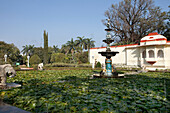 Lotus pond in the garden of Saheliyon-ki-Bari, Udaipur, Rajasthan, India
