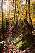 Young woman with backpack hiking through beech forest in autumn, Triglav National Park, Slovenia