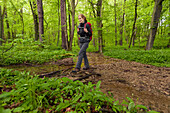 Young woman hiking through a beech forest, National Park Hainich, Thuringia, Germany
