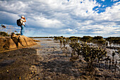 Wanderer betrachtet Mangroven, Millers Landing, Wilsons Promontory, Victoria, Australien