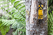 Sign for a hiking trail at a tree, Baw Baw National Park, Victoria, Australia