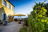 Restaurant with panoramic view of lake Constance, Meersburg, Lake Constance, Baden-Württemberg, Germany