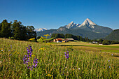 Farm in front of Watzmann and Hochkalter, Berchtesgaden region, Berchtesgaden National Park, Upper Bavaria, Germany