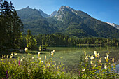 Hintersee mit Blick zum Hochkalter, Ramsau, Berchtesgadener Land, Nationalpark Berchtesgaden, Oberbayern, Bayern, Deutschland