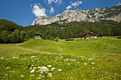 Bauernhöfe am Hintersee bei Ramsau, Reiteralpe im Hintergrund, Berchtesgadener Land, Nationalpark Berchtesgaden, Oberbayern, Bayern, Deutschland