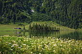 near Salet at the southern part of Koenigssee, Berchtesgaden region, Berchtesgaden National Park, Upper Bavaria, Germany