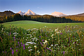 Watzmann und Hochkalter im Morgenlicht, Berchtesgadener Land, Nationalpark Berchtesgaden, Oberbayern, Bayern, Deutschland