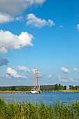 Sailing ship on the Achterwasser, near Neppermin, Usedom island, Baltic Sea, Mecklenburg Western-Pomerania, Germany