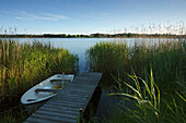 Bootssteg am Ufer des Selliner Sees, bei Sellin, Insel Rügen, Ostsee, Mecklenburg-Vorpommern, Deutschland