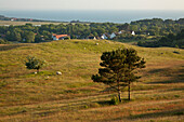 View from Dornbusch over the island, Hiddensee island, Baltic Sea, Mecklenburg Western-Pomerania, Germany