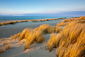 Dunes at the beach, Ellenbogen peninsula, Sylt island, North Sea, North Friesland, Schleswig-Holstein, Germany