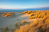 Dunes at the beach, Ellenbogen peninsula, Sylt island, North Sea, North Friesland, Schleswig-Holstein, Germany