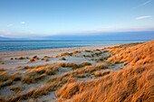Dunes at the beach, Ellenbogen peninsula, Sylt island, North Sea, North Friesland, Schleswig-Holstein, Germany