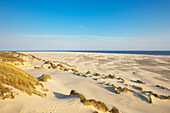 Dünen am Strand, Kniepsand, Insel Amrum, Nordsee, Nordfriesland, Schleswig-Holstein, Deutschland