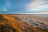 Dunes on the beach at dawn, Ellenbogen peninsula, Sylt island, North Sea, North Friesland, Schleswig-Holstein, Germany