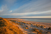 Dunes on the beach in the morning, Ellenbogen peninsula, Sylt island, North Sea, North Friesland, Schleswig-Holstein, Germany