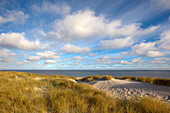 Dunes at the beach, Ellenbogen peninsula, Sylt island, North Sea, North Friesland, Schleswig-Holstein, Germany