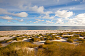 Dunes on the beach, Ellenbogen peninsula, Sylt island, North Sea, North Friesland, Schleswig-Holstein, Germany