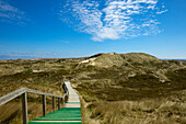 Path through the dunes, near Kampen, Sylt island, North Sea, North Friesland, Schleswig-Holstein, Germany