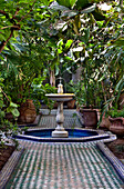 Garden courtyard, Riad Enija, Marrakech, Morocco