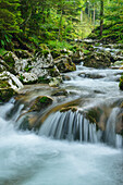 Kleiner Wasserfall, Samerberg, Oberbayern, Bayern, Deutschland