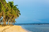 Aguja Island, San Blas archipelago, Kuna Yala Region, Panama, Central America, America