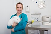 Veterinarian examine an Angora Rabbit in her surgery