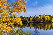 Brilliant fall foliage reflected in Minocqua Lake near Minocqua, Wisconsin, USA