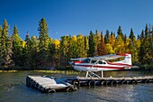 A seaplane with fall foliage color near Bakers Narrows, Manitoba, Canada