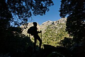 Puig De Sa Cova Carboner, 842 meters, Tramuntana, mallorca, Balearic Islands, Spain, Europe