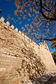 Arab wall, X-XII century, Palma, Mallorca, Balearic Islands, Spain, Europe
