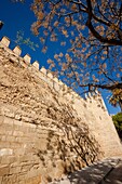 Arabische Mauer, X-XII Jahrhundert, Palma, Mallorca, Balearen, Spanien, Europa