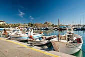 Moll de la Riba, Palma, Mallorca, Balearic Islands, Spain, Europe