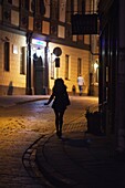 Vilnius  Old Town by night