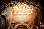 Sala de los Abencerrajes, Alhambra, Granada, Andalucia, Spain