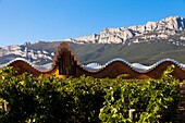 Bodegas Ysios wine cellar, built by Santiago Calatrava, Laguardia, Alava, Spain, Europe