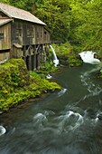 Cedar Creek Grist Mill, Skamania County Washington