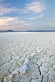 Cracked mud and mineral desposits on dry lakebed, Alvord Desert Oregon