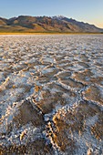 Cracked mud and mineral desposits on dry lakebed, Steens Mountain in the distance, Alvord Desert Oregon