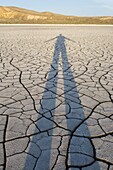 Silhouette of person on patterns of cracked mud on dry lakebed of Harney Lake, Malheur National Wildlife Refuge, Oregon