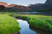 Wind Big Sandy Lake, Bridger Wilderness River Range Wyoming