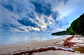 afternoon, beach, cloud, color image, dramatic, Malaysia, palm, pulau, tiga, tree, U24-1782677, AGEFOTOSTOCK 