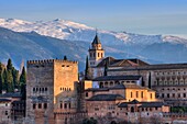 Alhambra  Granada  Spain.