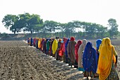 India, Rajasthan, Tonk region, Damun, Women heading for the village tank.