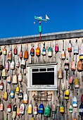 Lobster shack with colorful buoys, Jonesport, Maine, USA