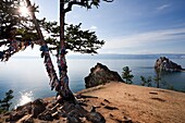 Backlight of a shamanic tree with the bottom of Lake Baikal