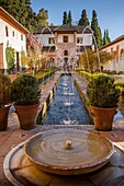 Patio de la Acequia courtyard of irrigation ditch  El Generalife  La Alhambra  Granada  Andalusia