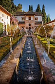 Patio de la Acequia courtyard of irrigation ditch  El Generalife  La Alhambra  Granada  Andalusia