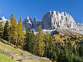 Rosengarten also called Catinaccio mountain range in the Dolomites of South Tyrol Alto Adige during autumn  The Vajolet Towers and the rock face of mount Laurin Wand  The Rosengarten is part of the UNESCO world heritage site Dolomites  Europe, Central Eur