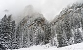 Rosengarten also called Catinaccio mountain range in the Dolomites of South Tyrol Alto Adige during autumn  The Tschamin Valley also called Ciares after an early snowstorm  The Rosengarten is part of the UNESCO world heritage site Dolomites  Europe, Centr